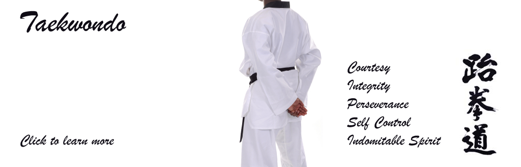 Taekwondo